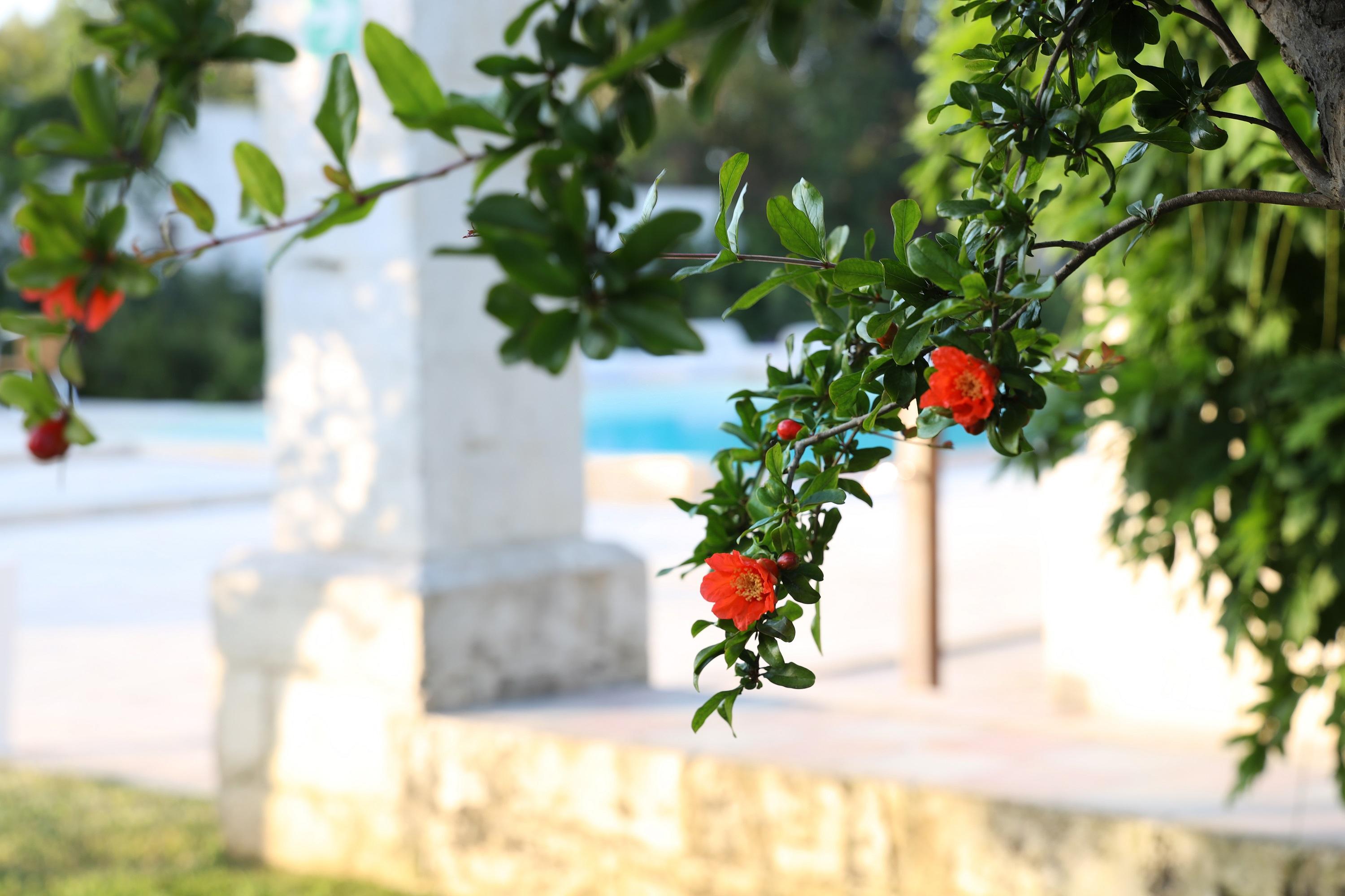 Borgo Sentinella Aparthotel Torre dell'Orso Exterior photo